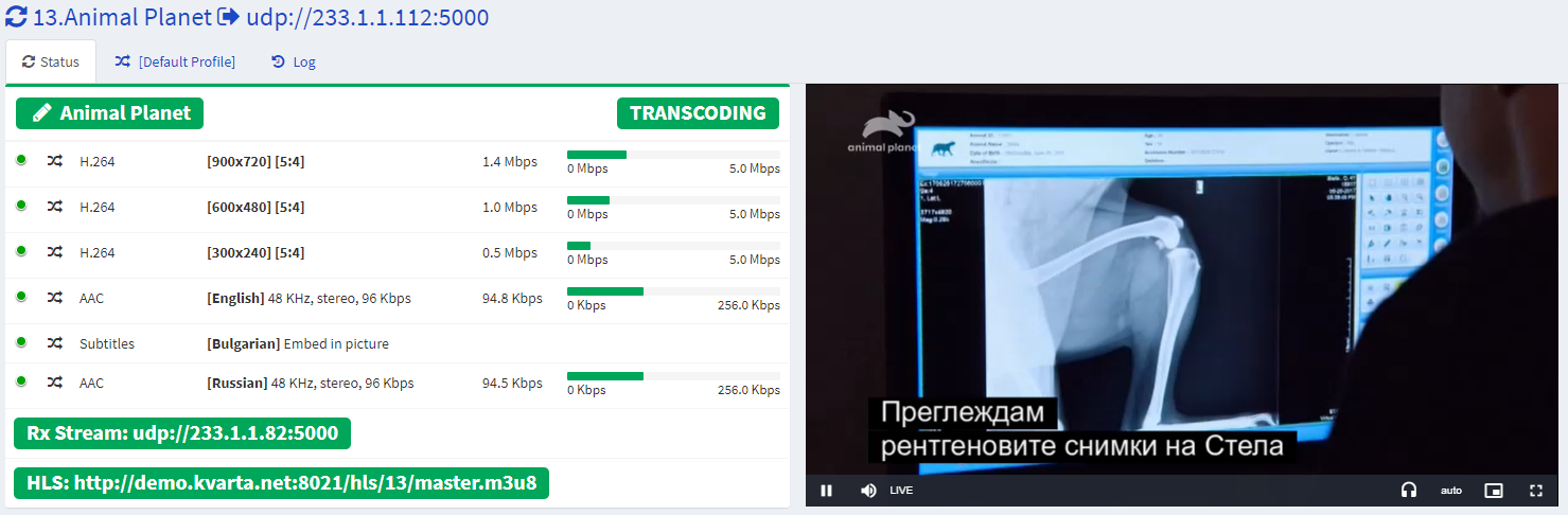 Embed subtitles in picutre and transcode to H.264/AAC