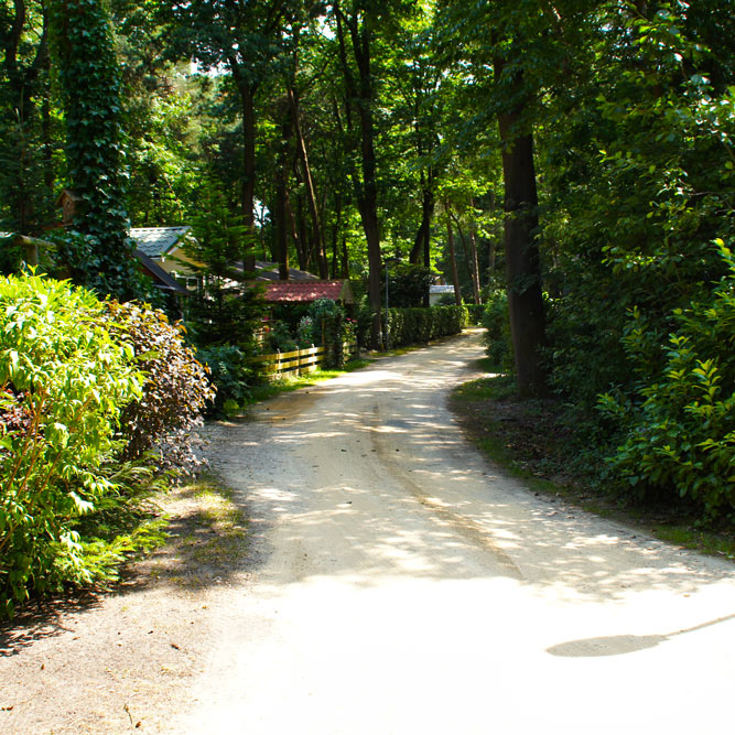 DVB Modulator software is used for 8 carriers DVB-T network in a camping in Netherlands